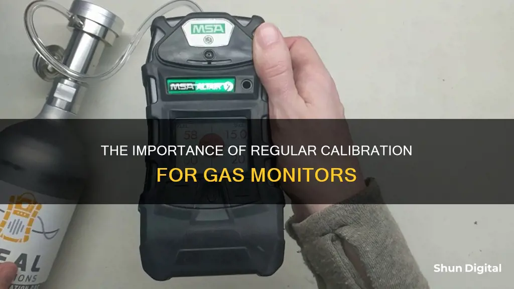 how often do you calibrate gas monitors