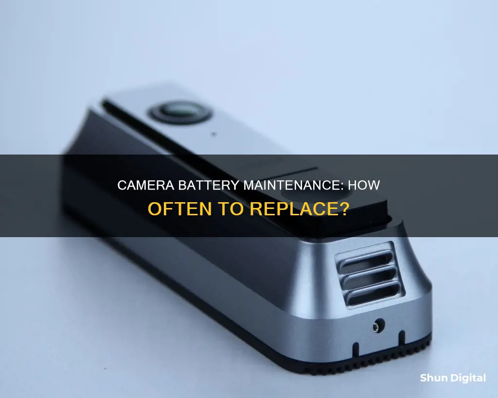 how often should camera batteries be replaced