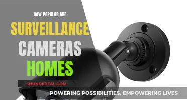 Surveillance Cameras in Homes: How Common Are They?