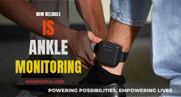 Ankle Monitoring: Effective Surveillance or Costly Placebo?