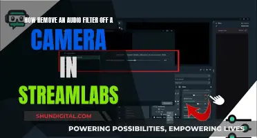 Removing Audio Filters from Your Streamlabs Camera Feed