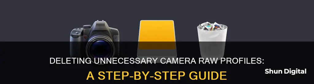 how remove unnecessary camera raw camera profiles