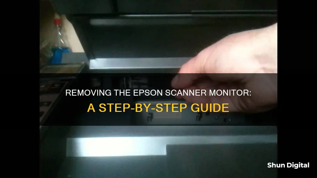 how ro remove epson scanner monitor