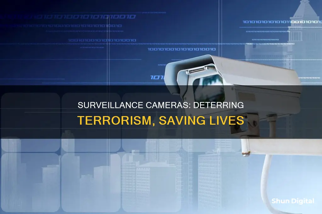 how surveillance camera helped decrease terrorism