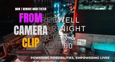 Removing Night Filter from Camera Clips: A Step-by-Step Guide