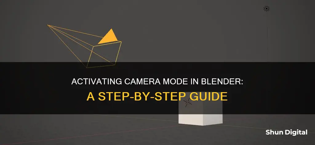 how to activate camera mode on blender