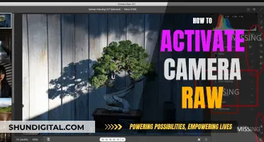 Unlocking Camera Raw: A Guide to Activating the Feature