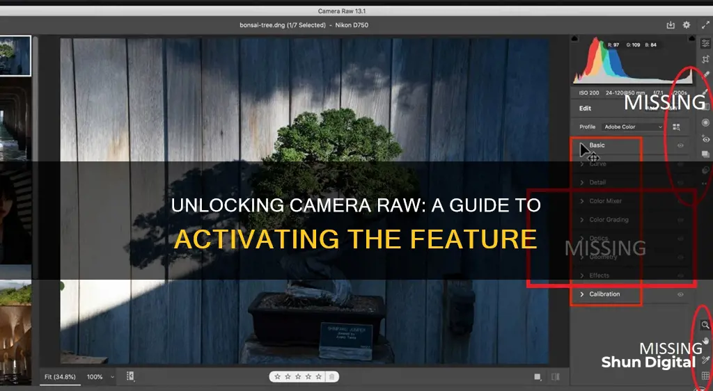 how to activate camera raw