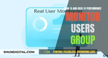 Adding Users to Performance Monitor Group: A Simple Guide