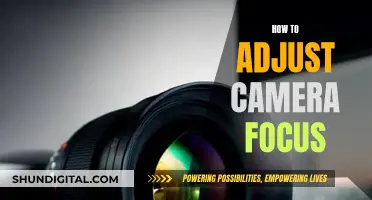 Adjusting Camera Focus: Tips for Perfecting Your Photography Skills