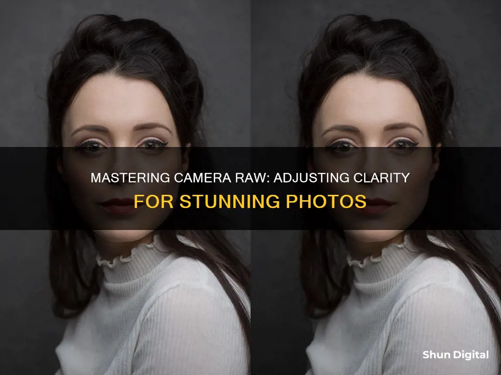 how to adjust clarity in camera raw