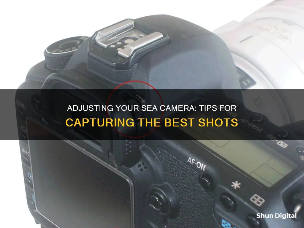 how to adjust see camera