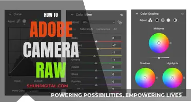 Unleashing Adobe Camera Raw: A Beginner's Guide