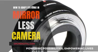 Adapting EF Lenses to Mirrorless Cameras: A Guide