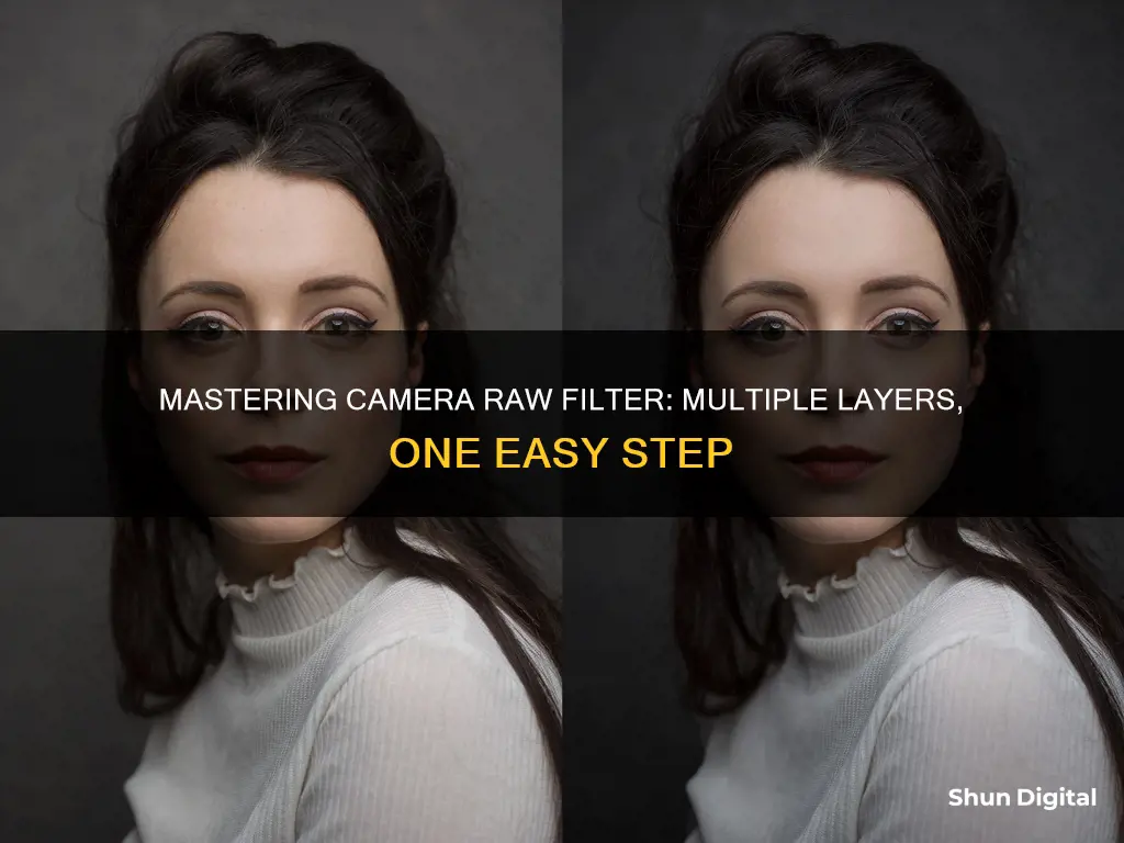 how to apply a camera raw filter on multiple layers