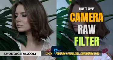 Applying Camera Raw Filter: Enhancing Your Photos