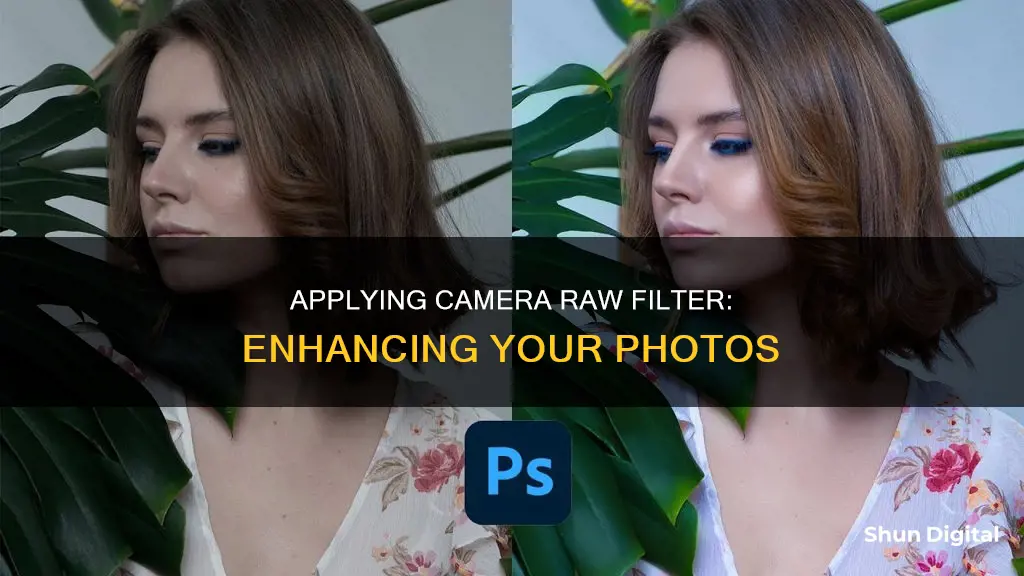 how to apply camera raw filter