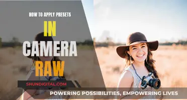 Applying Camera Raw Presets: A Step-by-Step Guide