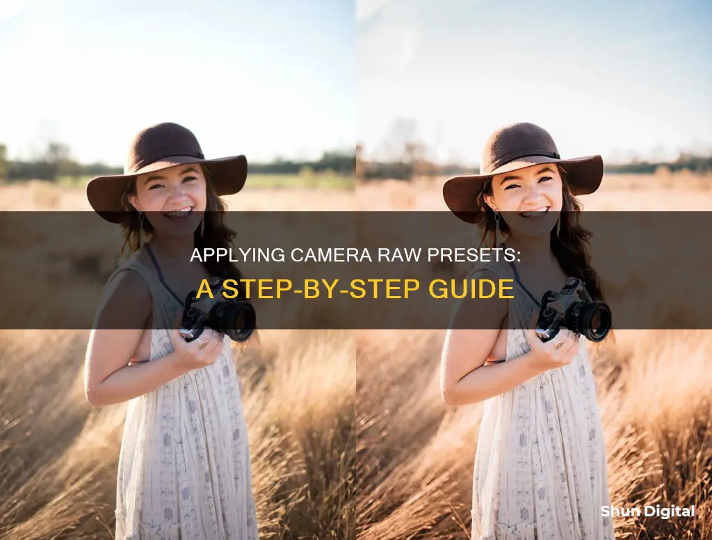 how to apply presets in camera raw