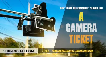 Strategies for Requesting Community Service for a Camera Ticket