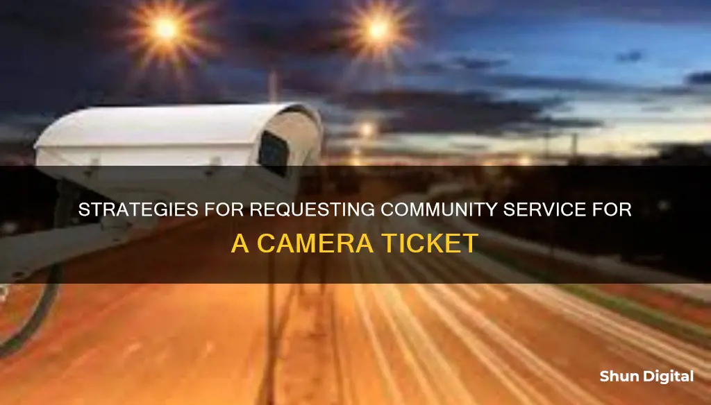 how to ask for community service for a camera ticket