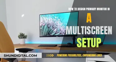 Easy Monitor Management: Primary Display Assignment
