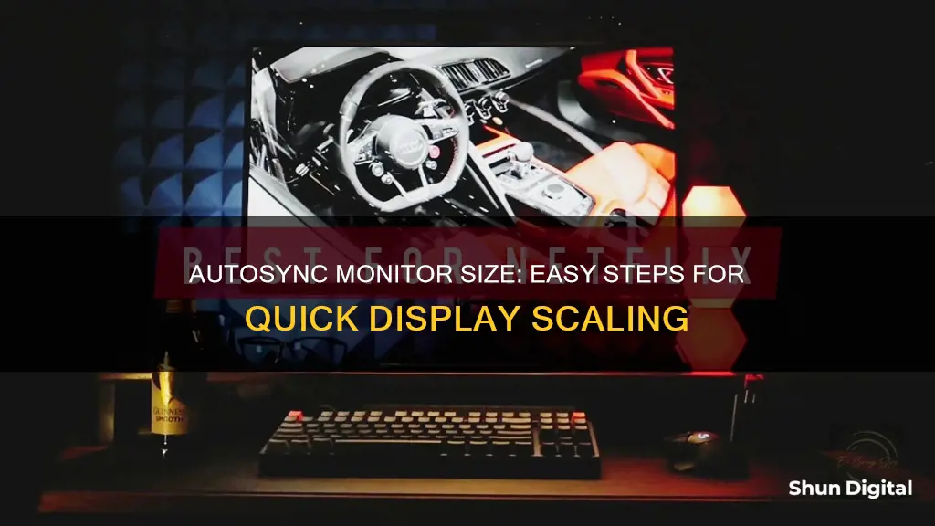 how to autosync a monitor size