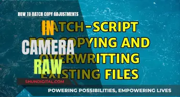 Batch Processing Power: Copying Adjustments in Camera Raw