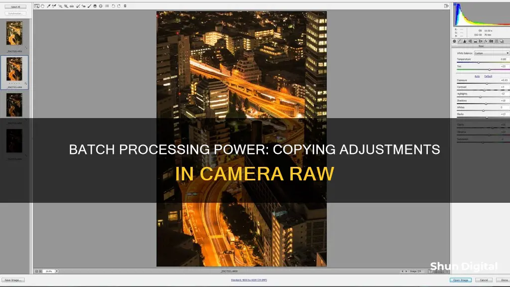 how to batch copy adjustments in camera raw