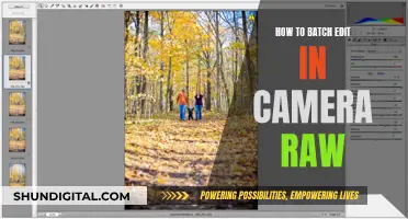 Mastering Batch Editing in Camera Raw: A Step-by-Step Guide