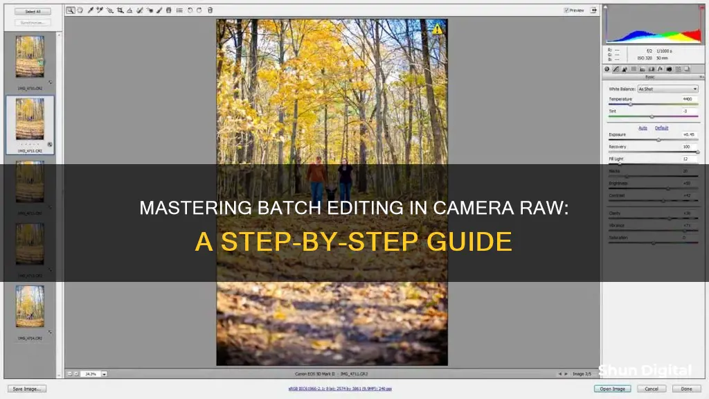 how to batch edit in camera raw