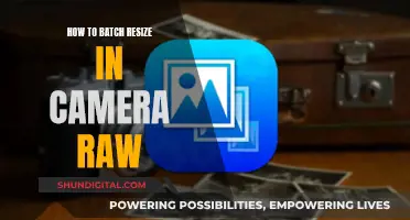 Resizing Multiple Images in Camera Raw: A Step-by-Step Guide