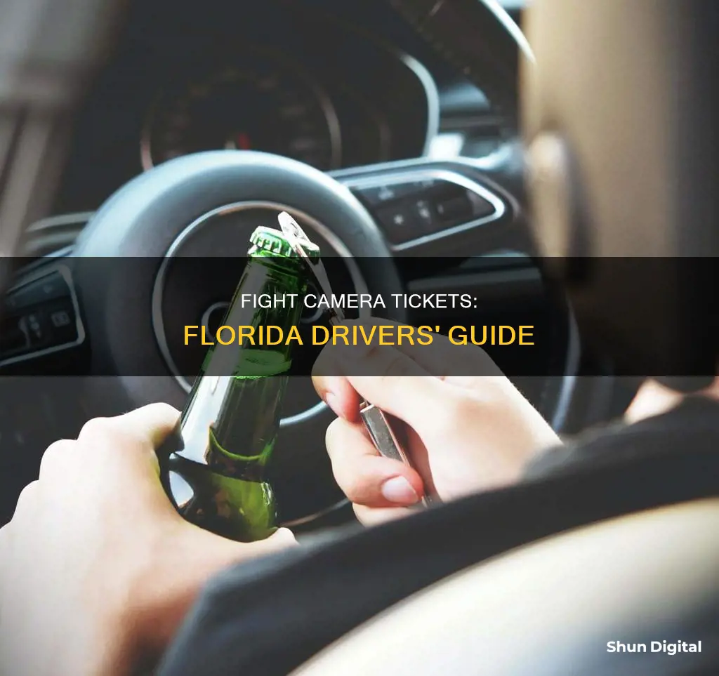 how to beat a camera ticket florida