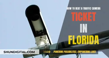 Fight Traffic Camera Tickets: Strategies for Floridians