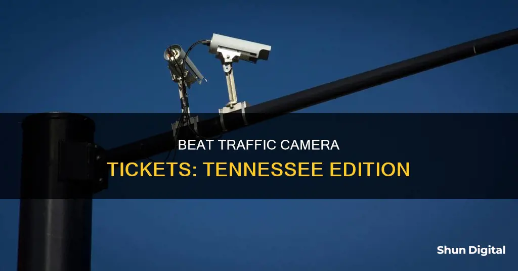 how to beat a traffic camera ticket in Tennessee