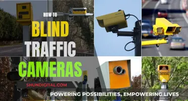 Blind Traffic Cameras: Foolproof Methods to Stay Invisible