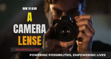 Blurring Camera Lenses: Techniques for Creative Photography