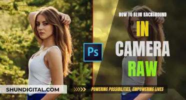 Mastering the Art of Blurring Backgrounds in Camera Raw