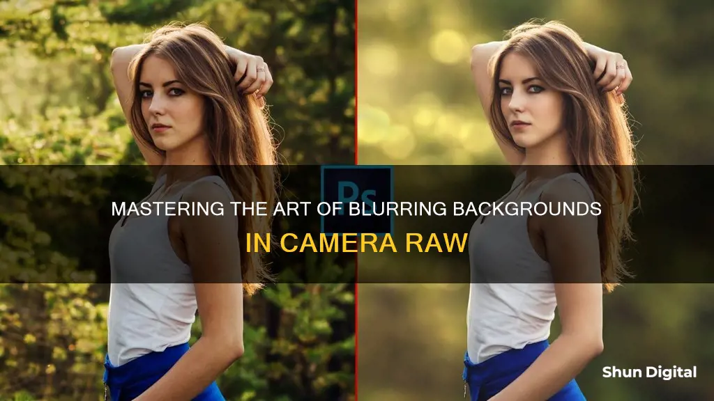 how to blur background in camera raw