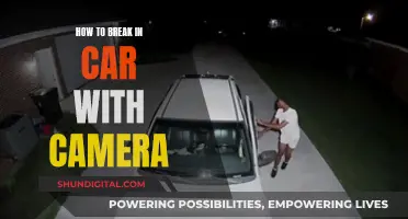 Breaking into Cars: Evading Cameras and Sensors