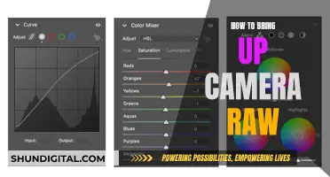 Unleashing Camera Raw's Power: From Basics to Advanced Techniques