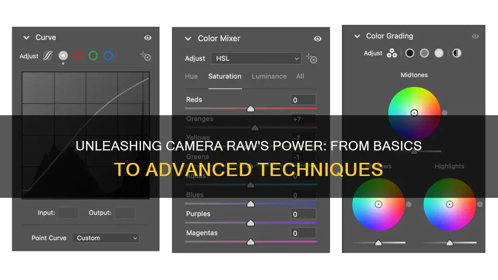 how to bring up camera raw