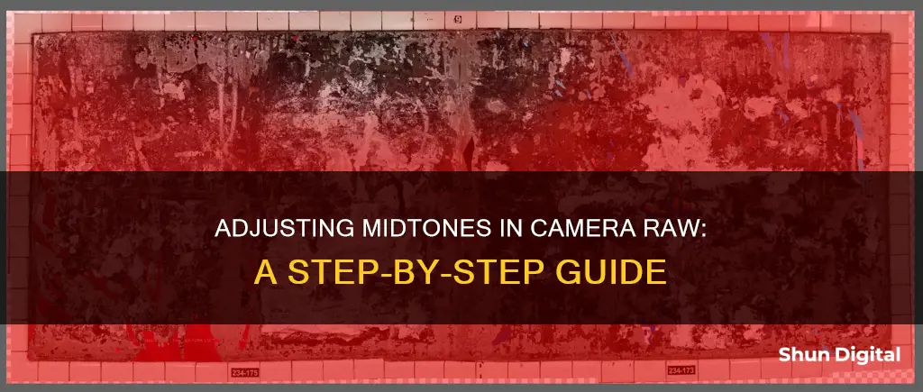 how to burn midtones camera raw