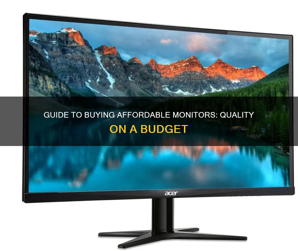 how to buy an adequate cheap monitor