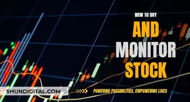 Monitoring and Buying Stocks: A Comprehensive Guide