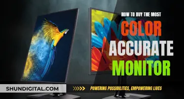 Choosing a Monitor: Color Accuracy Matters