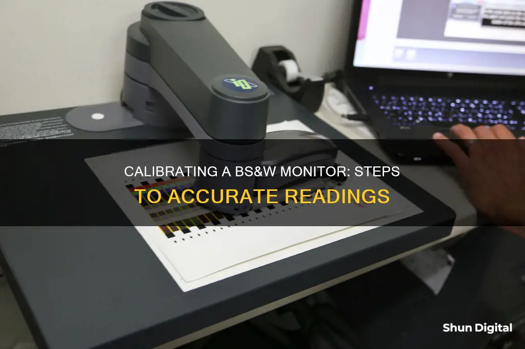 how to calibrate a bs&w monitor