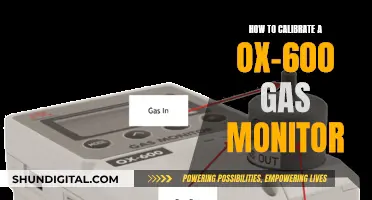 Calibrating Ox-600 Gas Monitors: Step-by-Step Guide