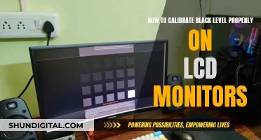 Mastering Black Level Calibration on LCD Monitors