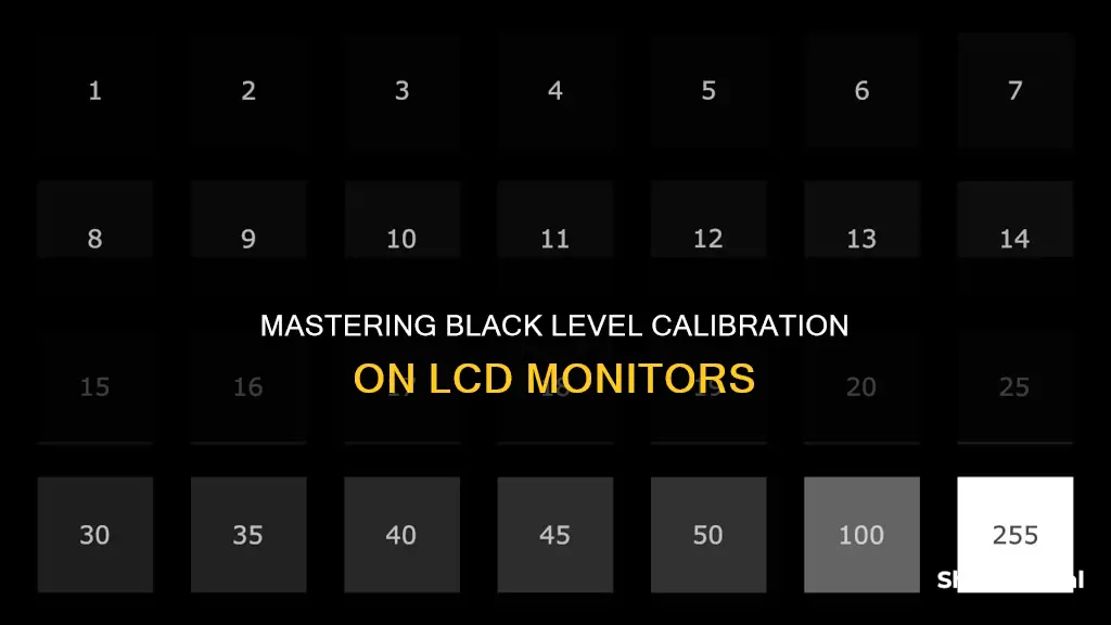 how to calibrate black level properly on lcd monitors